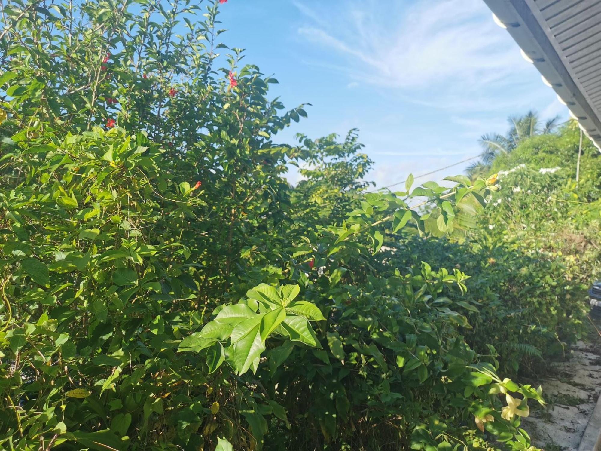Fare Kairos Lägenhet Uturoa Exteriör bild